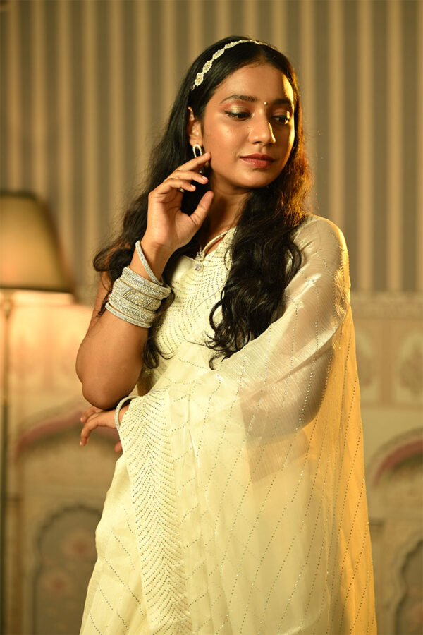 White organza saree
