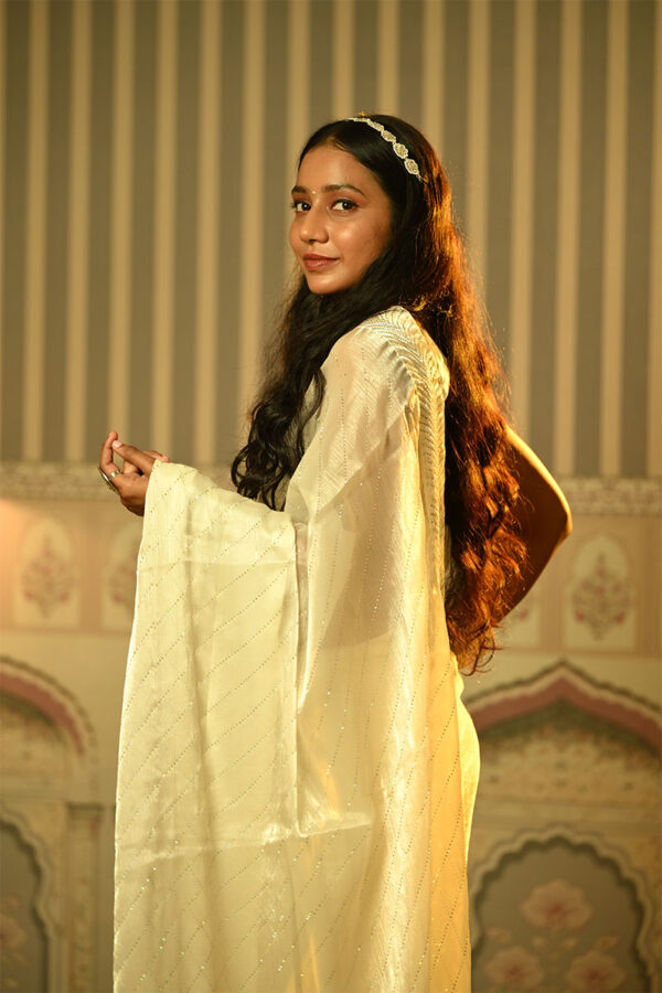 White organza saree