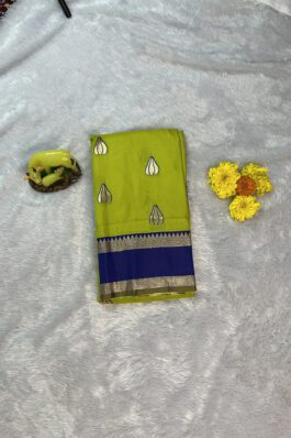 Paithani Traditional Silk Saree