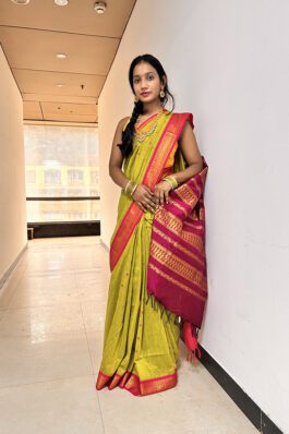 Silk Cotton Saree