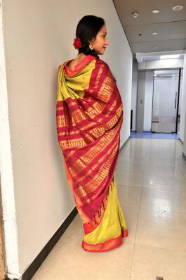 Silk Cotton Saree
