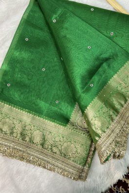 Banarasi Tissue Silk Saree