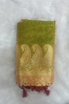 Gayatri Paithani Saree