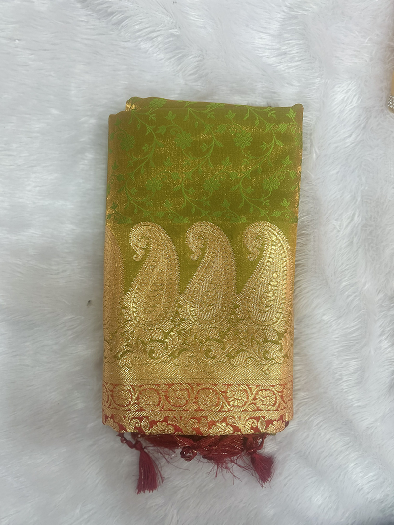 Gayatri Paithani Saree